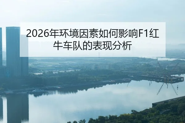 nian-huan-jing-yin-su-ru-he-ying-xiang-hong-niu-che-dui-de-biao-xian-fen-xi-2-598.jpg