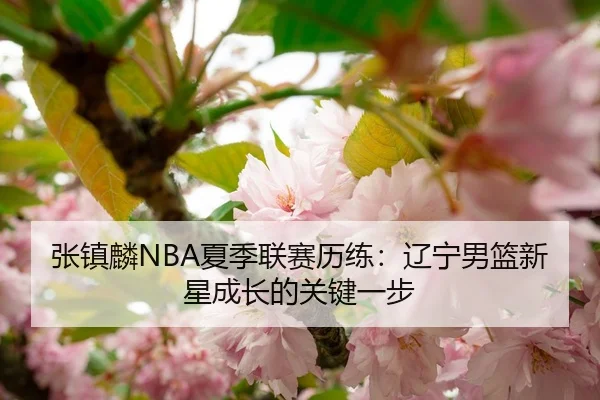 张镇麟NBA夏季联赛历练：辽宁男篮新星成长的关键一步