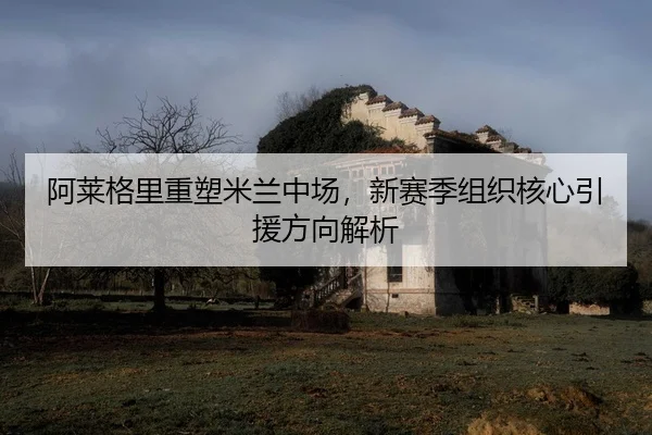 a-lai-ge-li-zhong-su-mi-lan-zhong-chang-xin-sai-ji-zu-zhi-he-xin-yin-yuan-fang-xiang-jie-xi-2-883.jpg