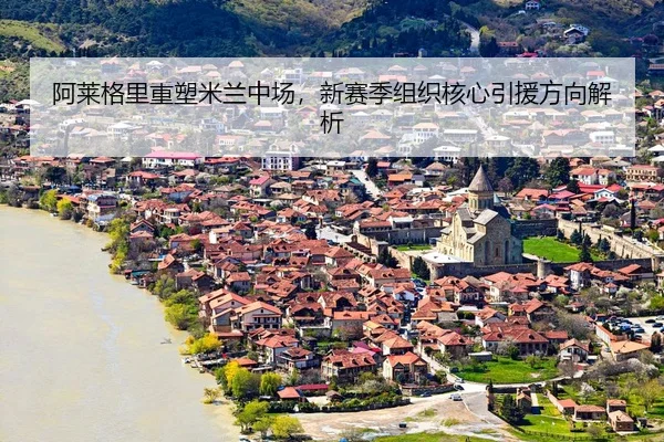 a-lai-ge-li-zhong-su-mi-lan-zhong-chang-xin-sai-ji-zu-zhi-he-xin-yin-yuan-fang-xiang-jie-xi-3-602.jpg