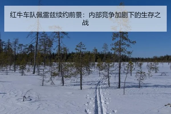 红牛车队佩雷兹续约前景：内部竞争加剧下的生存之战