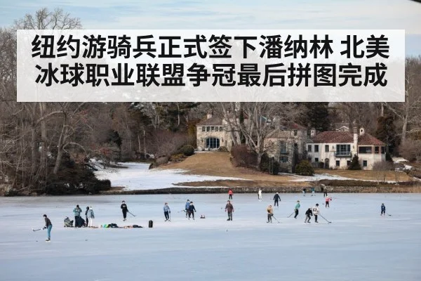 纽约游骑兵正式签下潘纳林 北美冰球职业联盟争冠最后拼图完成